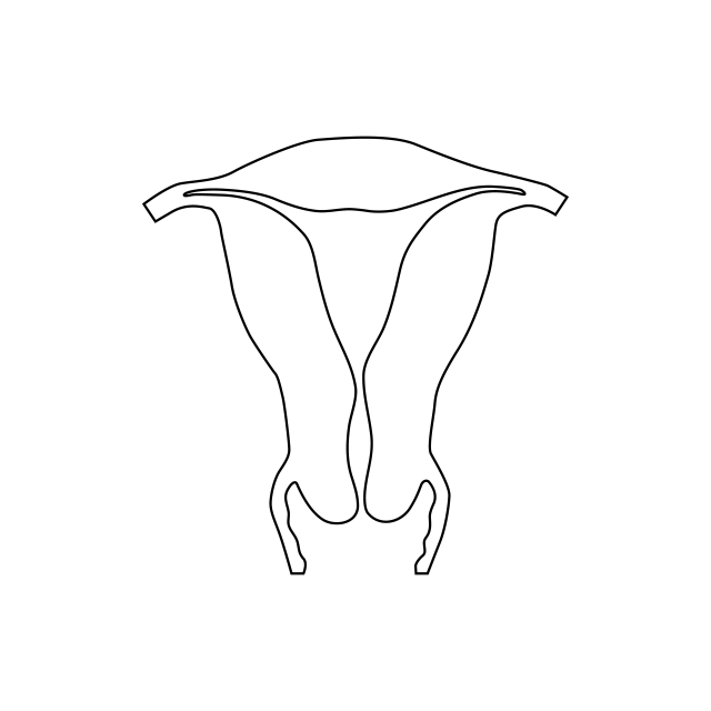 pngtree-uterus-icon-outline-style-png-image_1818945